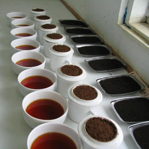 What Does Coffee Taste Like?